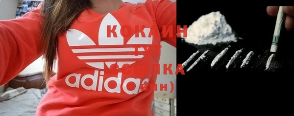 ПСИЛОЦИБИНОВЫЕ ГРИБЫ Абдулино